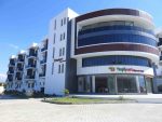 yesilyurt 00